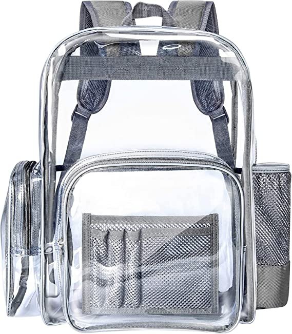 Large Clear Backpack
